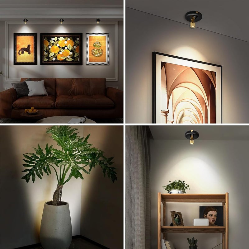 Arixinks Indoor Plant Spotlight Battery Operated,Picture Light with Remote,Wall Painting Uplight,Wireless Dimmable Timer ,Spot Light for Plants Trees Pictures Display Painting Art Frame Gallery Portrait - Image 5